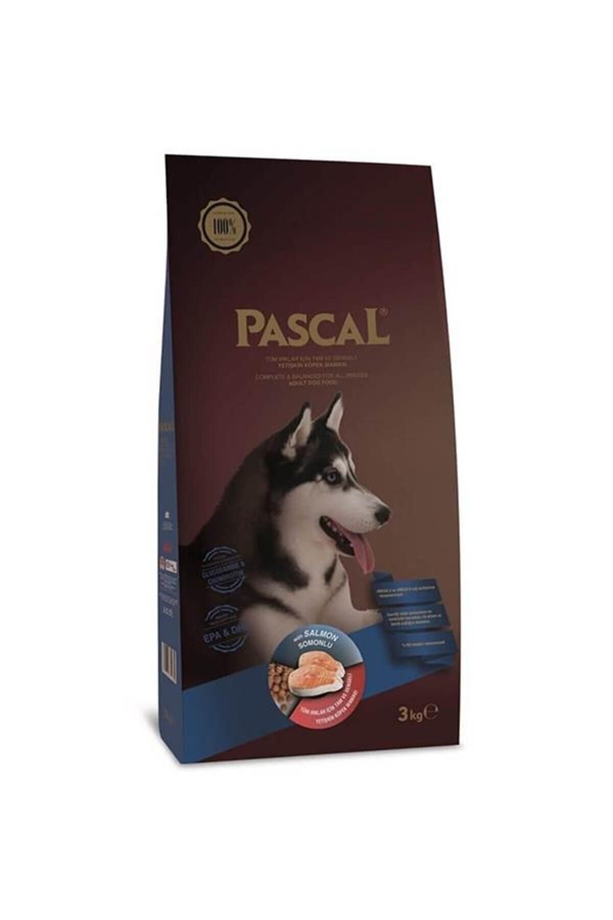 Somon Balıklı Köpek Maması 3 Kg