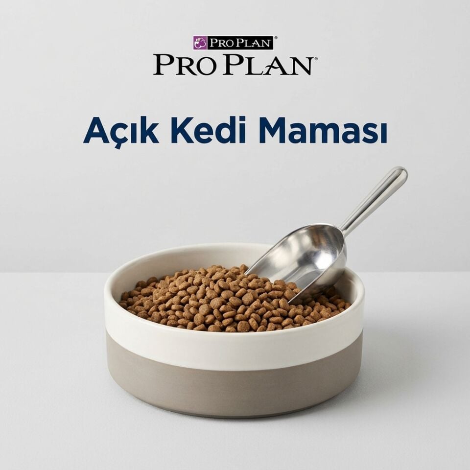 Pro Plan Açık Kısır Somonlu Kedi Maması (1 kg)
