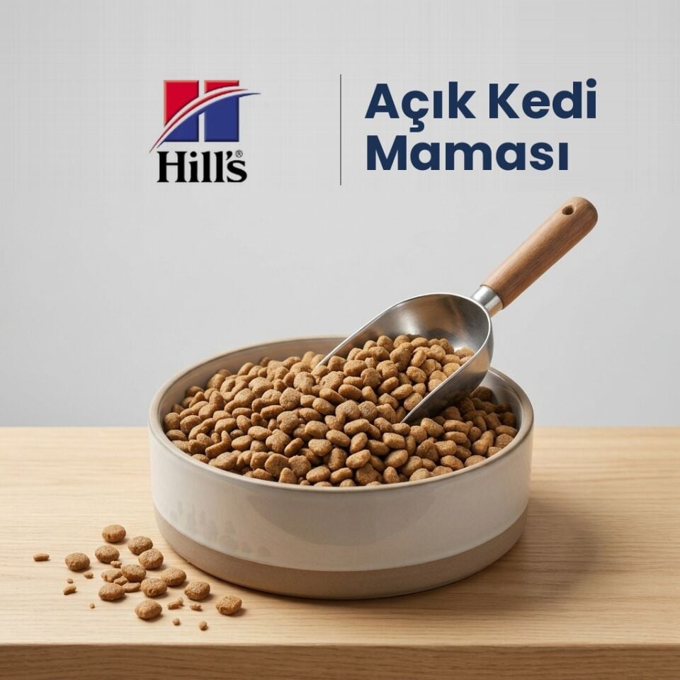 Hill's Açık Somonlu Kısır Kedi Maması (1 kg)