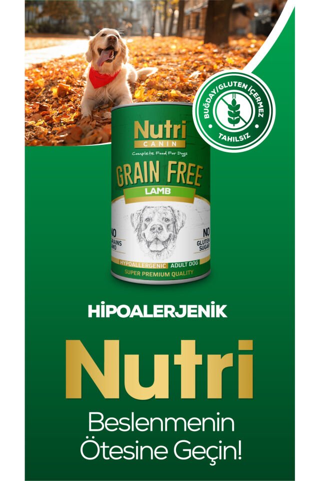 Hipoalerjenik Kuzu Etli Tahılsız 400gr Yetişkin Köpek Yaş Maması 1 Adet