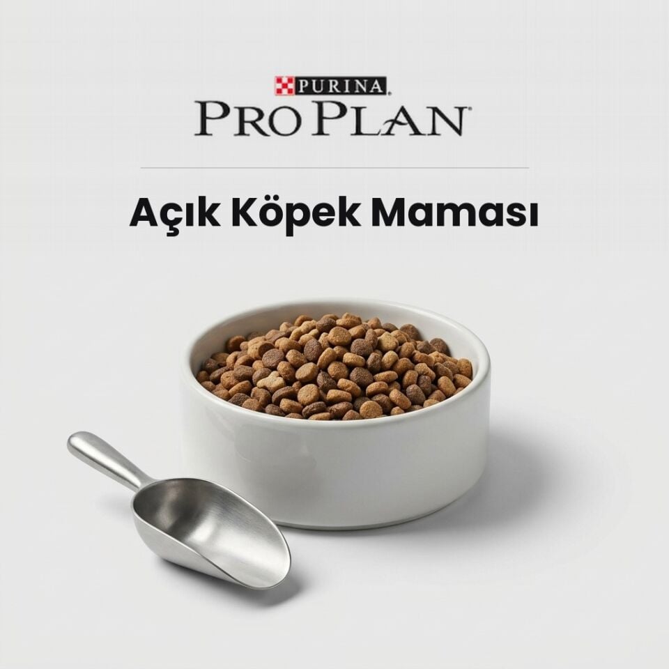 Pro Plan Açık Yetişkin Somon Balıklı Köpek Maması (1 kg)