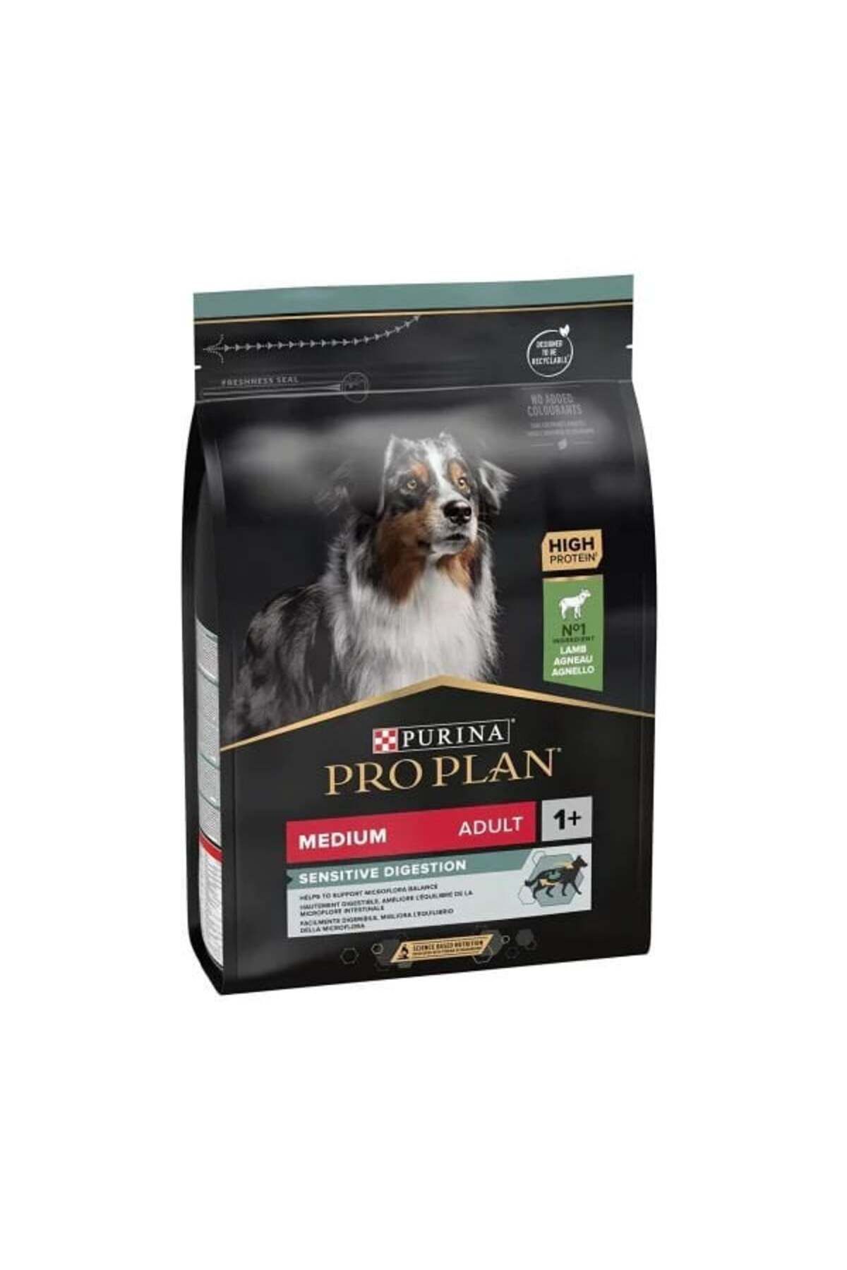 Adult Kuzu Etli Yetişkin Köpek Maması 3 Kg