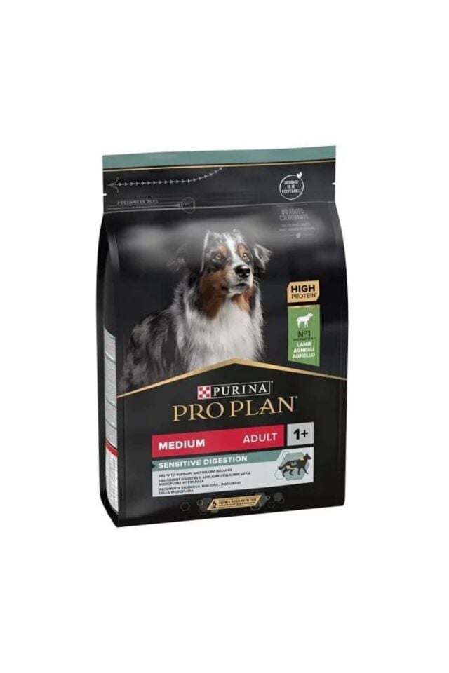 Adult Kuzu Etli Yetişkin Köpek Maması 3 Kg