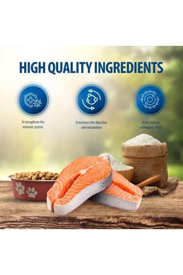 Plus Hairball Somonlu Yetişkin Kedi Maması, 1.5 Kg