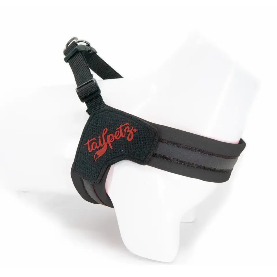 Tailpetz V-Tipi Köpek Göğüs Tasması