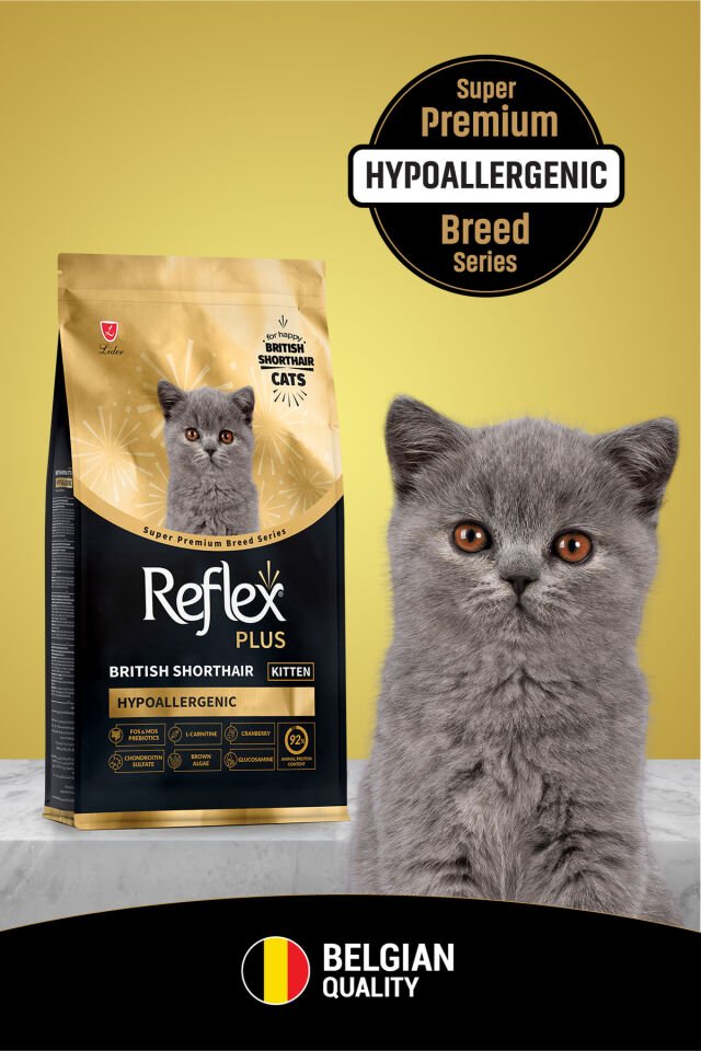 Plus British Shorthair Hipoalerjenik Yavru Kedi Maması 1,5 Kg