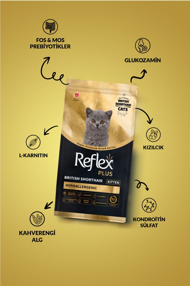 Plus British Shorthair Hipoalerjenik Yavru Kedi Maması 1,5 Kg