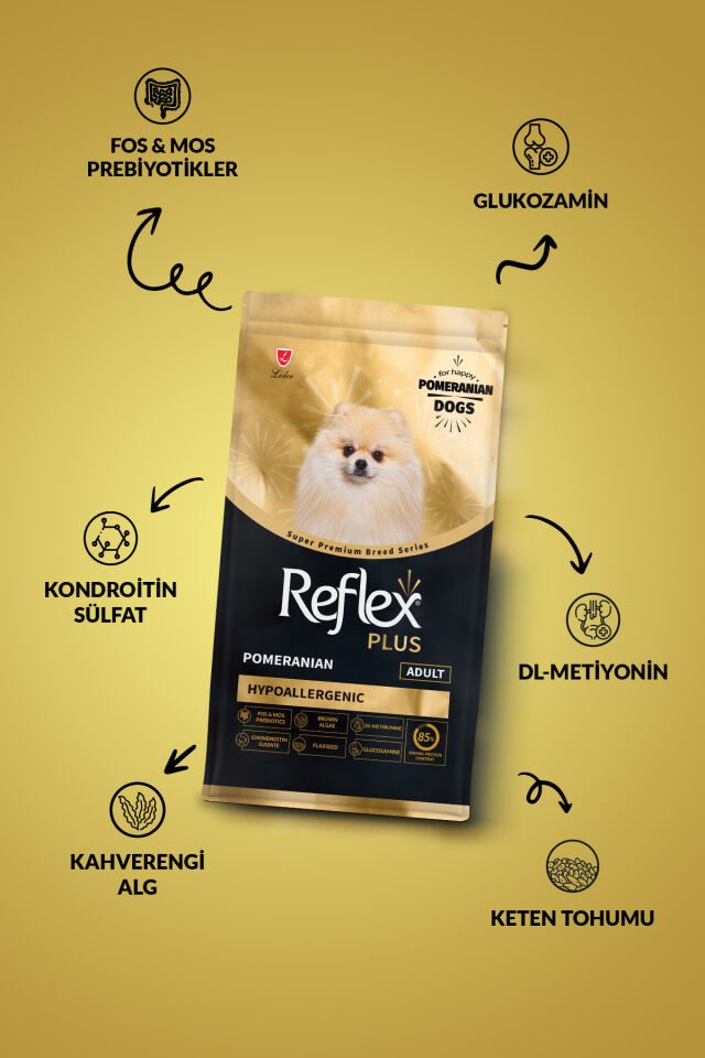 Plus Pomeranian Hipoalerjenik Yetişkin Köpek Maması 2 Kg