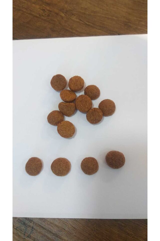 How Meow Yetişkin Köpek Kuru Maması Kuzulu Ve Pirinçli 15 Kg