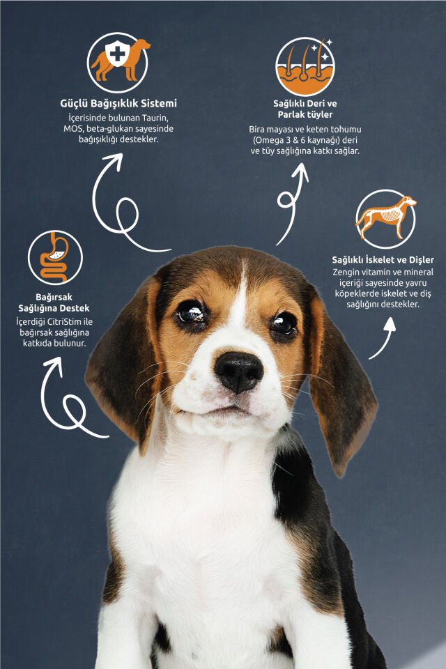 Kuzu Etli ve Pirinçli Yavru Köpek Maması 10 kg