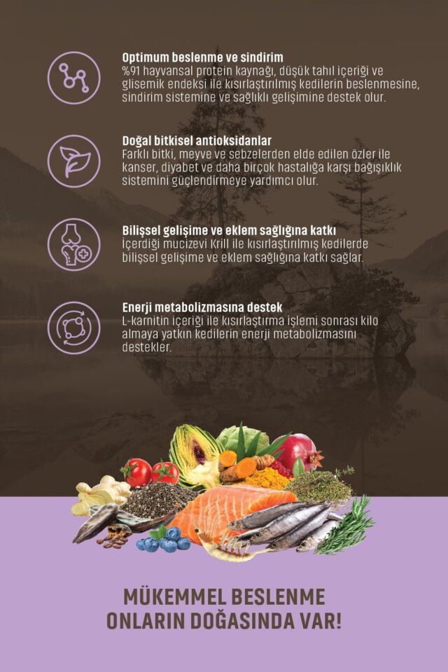 Somunlu Hamsili Ve Kızılcıklı Kısırlaştırılmış Yetişkin Kedi Maması 2+0,6 Kg