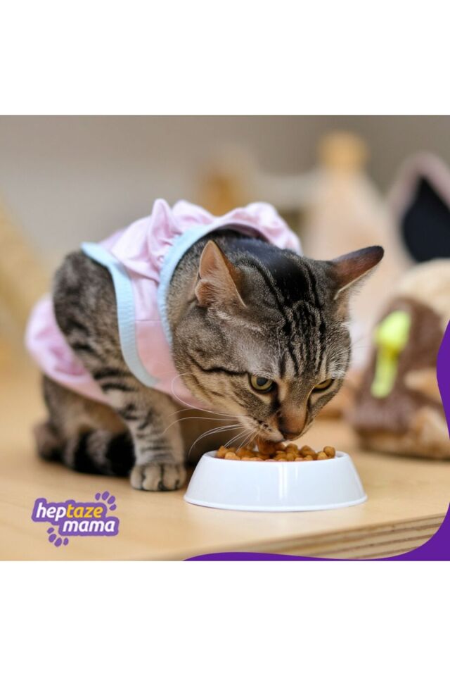 Hop Lıfe Balıklı Kısır Yetişkin Kedi Maması 15 Kg