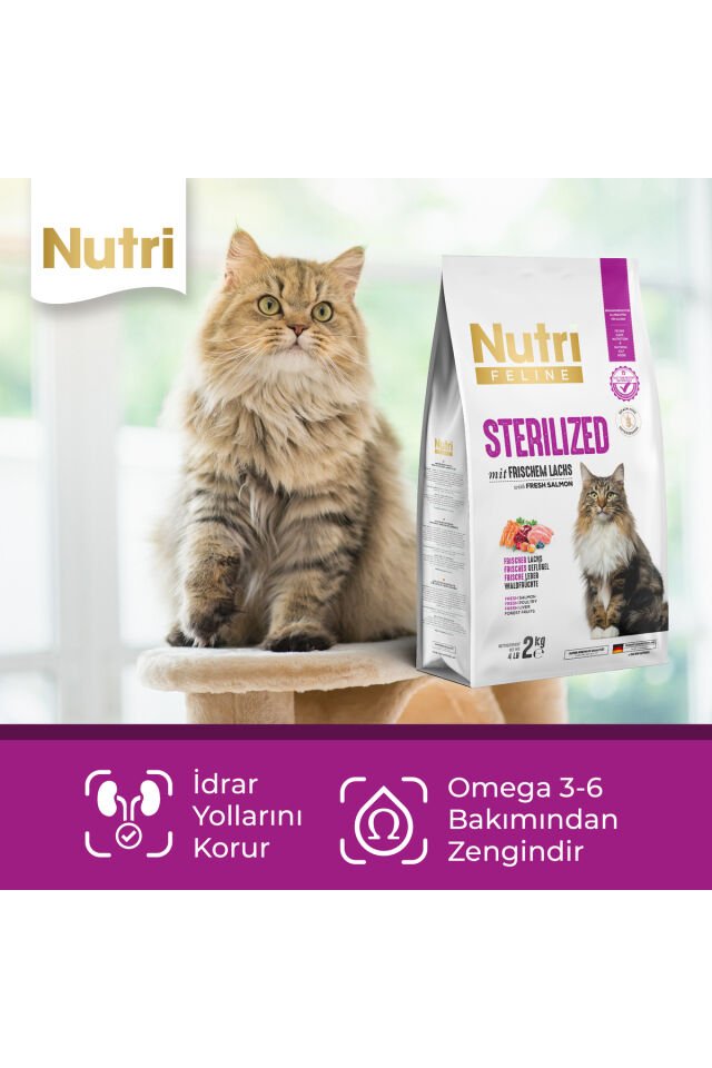 Kısırlaştırılmış Somonlu Glutensiz, Tahılsız Yetişkin Kedi Maması 2 Kg