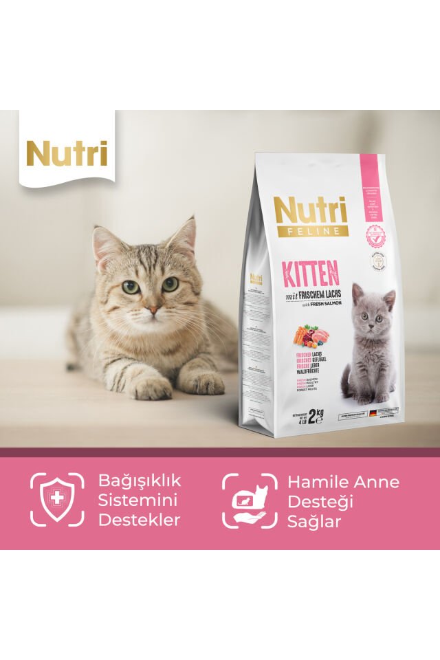 Kitten Taze Somonlu ve Glutensiz Yavru Kedi Maması 2 kg