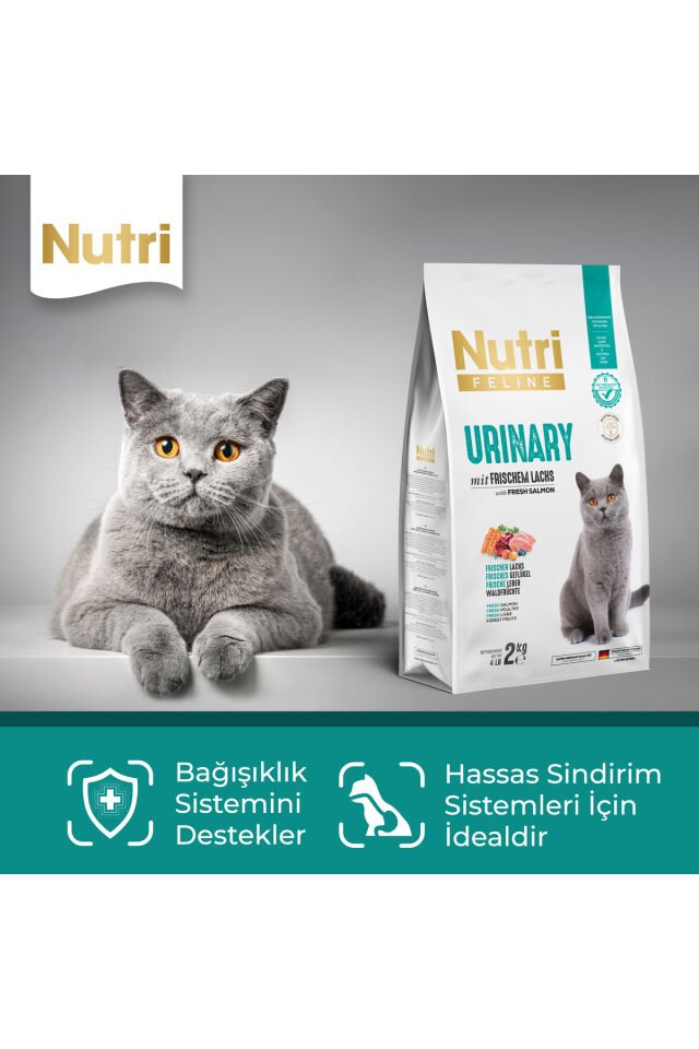 Nutrı Felıne - Urınary (üriner Sistem / Böbrek Ve Idrar Yolu Sağlığı Için) 2 Kg