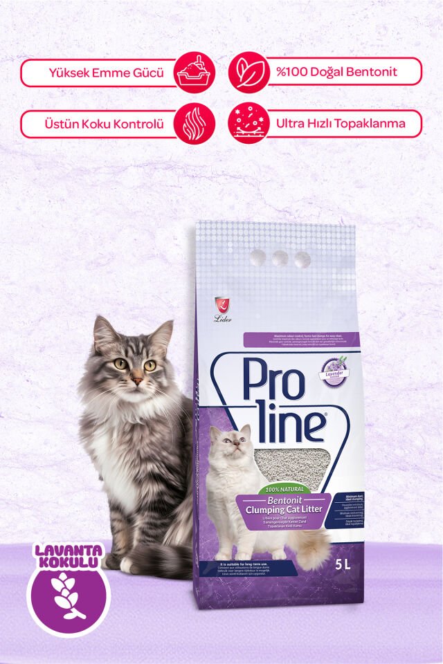 Proline Lavanta Kokulu Bentonit Kum 5 Lt.