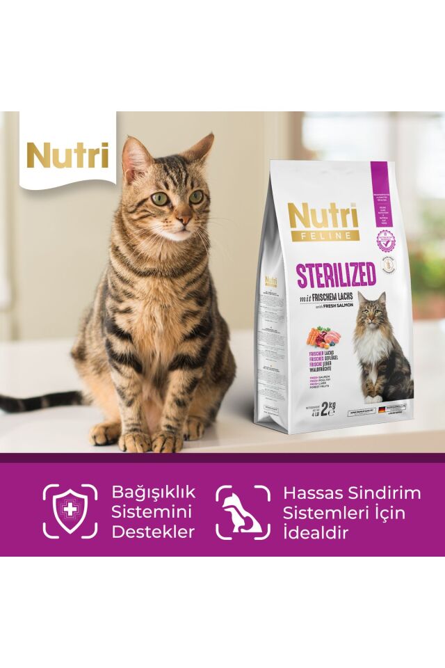 Sterilized - Taze Somonlu, Glutensiz ve Tahılsız Kısırlaştırılmış Kedi Maması 2 Kg
