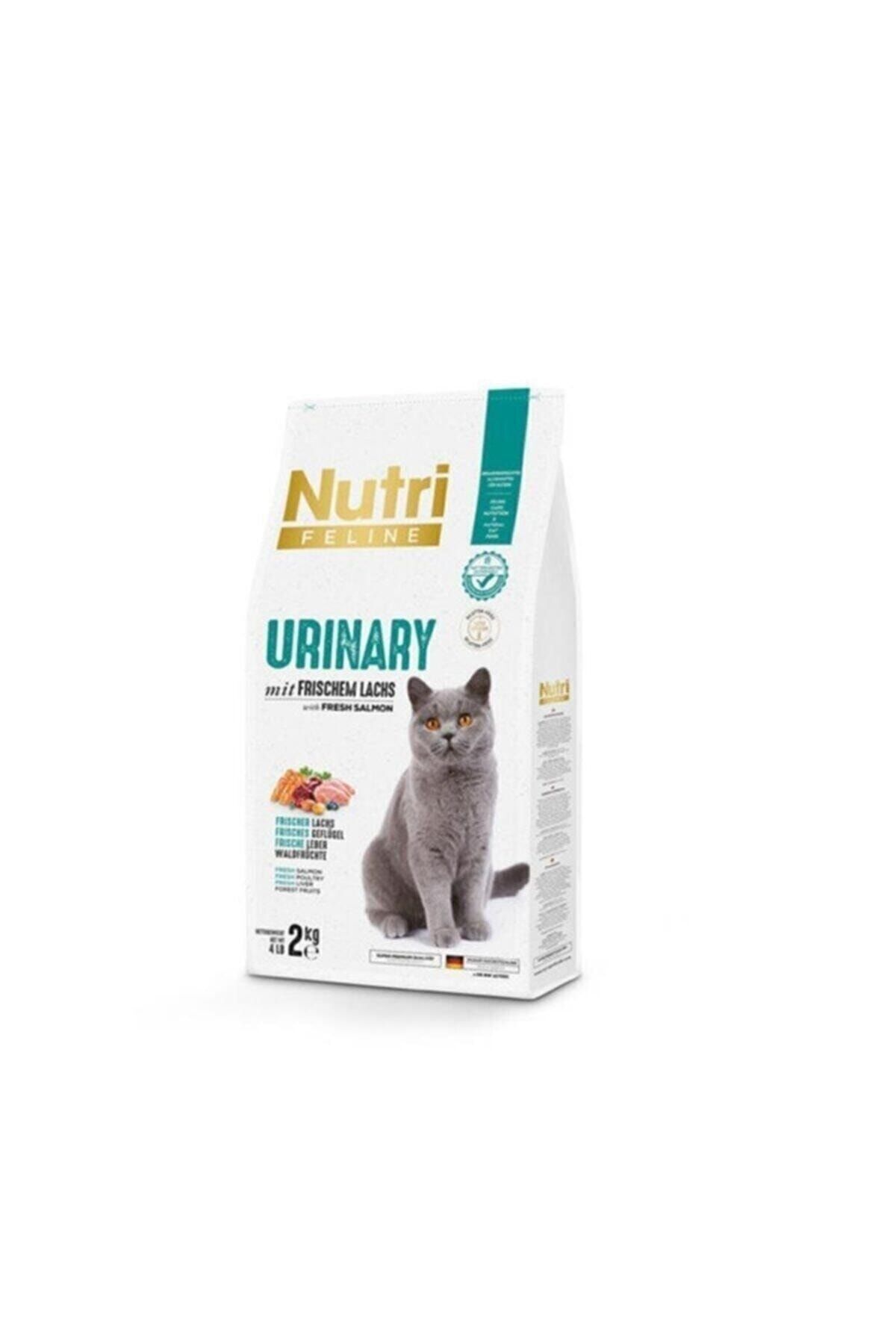 Böbrek Sağlığı Destekleyici Taze Somonlu Düşük Tahıllı Glutensiz Yetişkin Kedi Maması 2 Kg