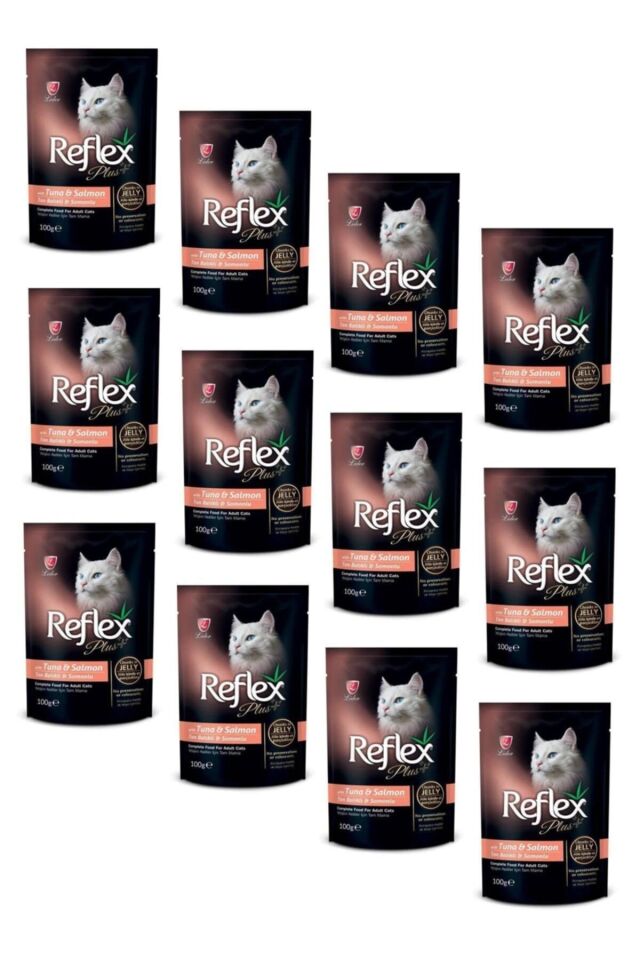 Plus Pouch Ton Balıklı Ve Somonlu Kedi Yaş Mama 100 Gr (12 Adet)