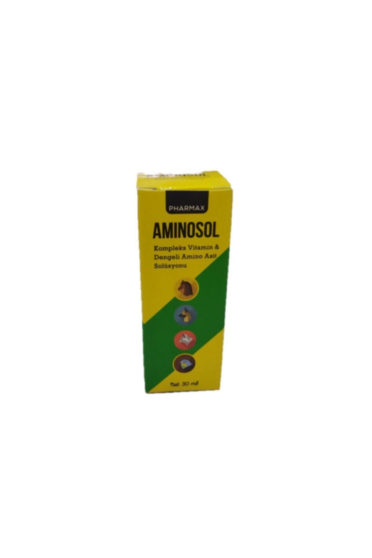 Anvit Aminosol Complex Vitamin 30 Ml