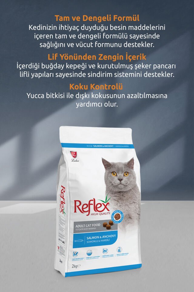 Somonlu ve Hamsili Yetişkin Kedi Maması 2 kg
