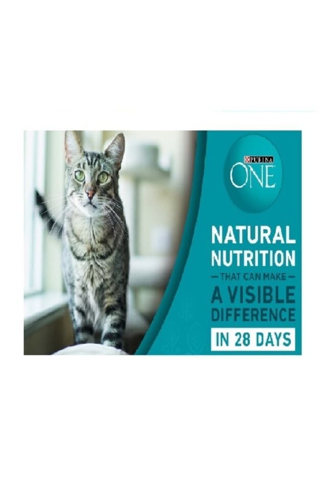 Karışık Yaş Kedi Maması Serisi 12 Adet Yeni Çeşitleri Ile