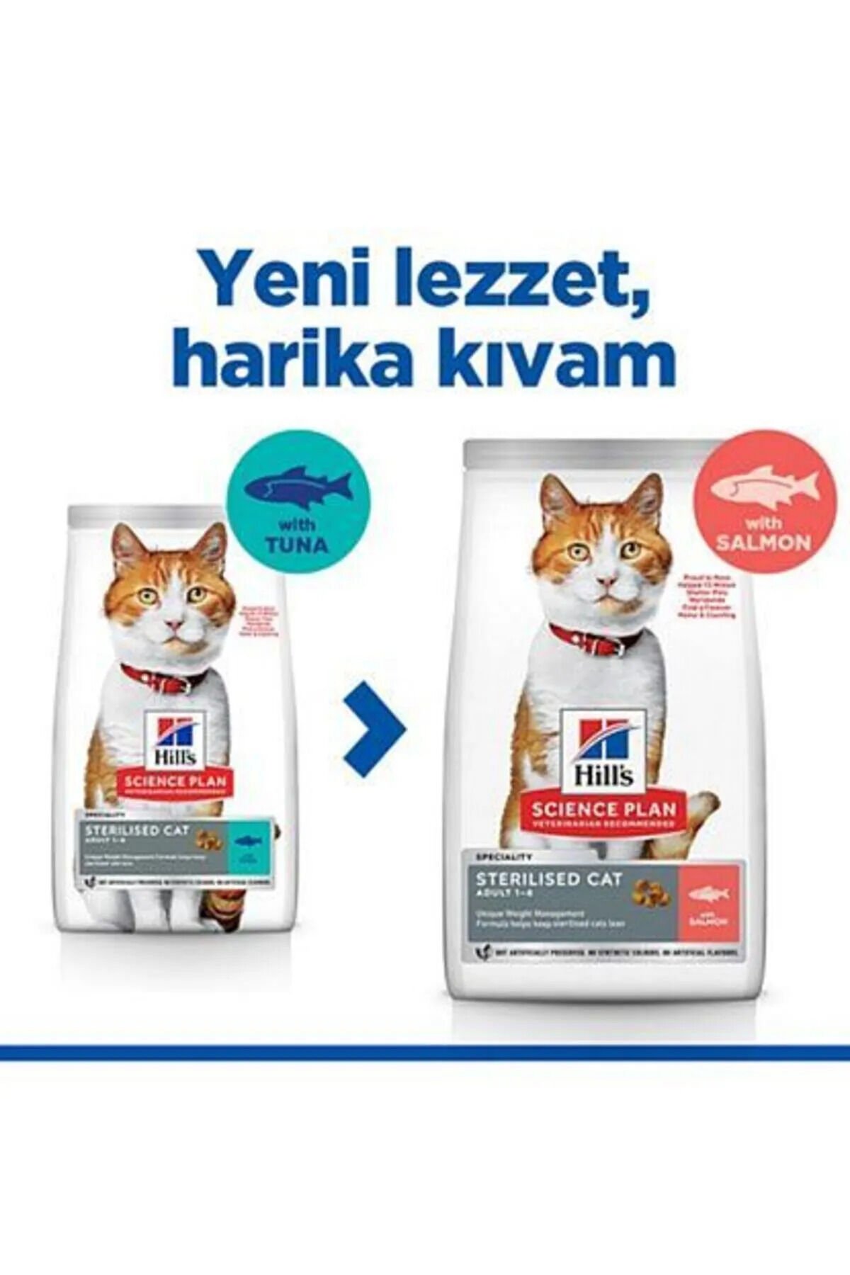 Somon Balıklı Kısırlaştırılmış Kedi Maması 3 Kg