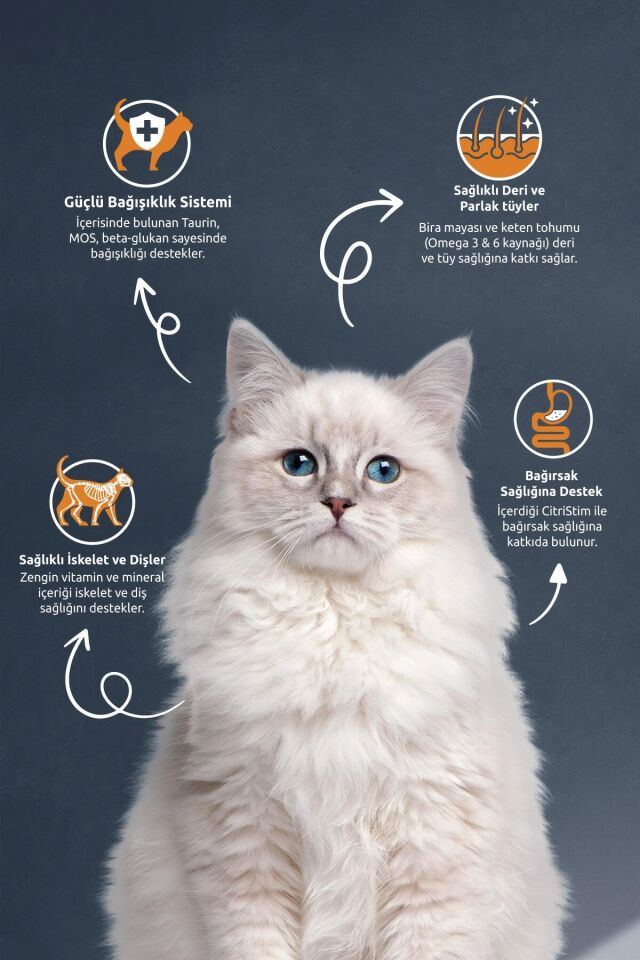 Tavuklu Kedi Maması 2 kg