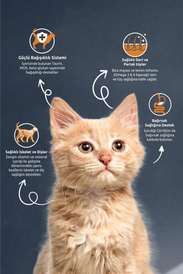 Kitten Tavuklu Ve Pirinçli Yavru Kedi Maması 2 Kg