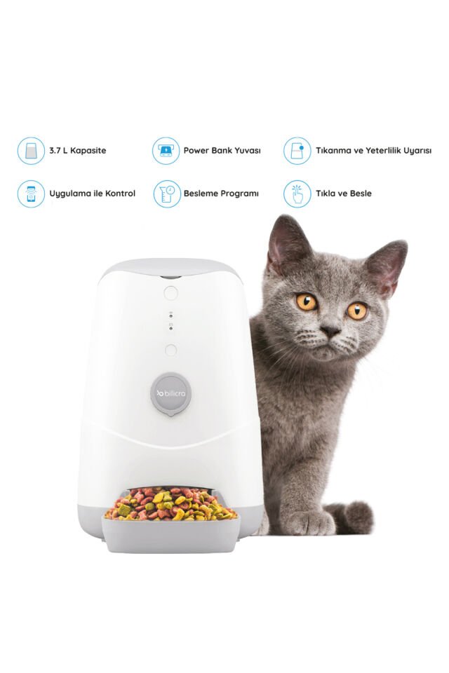 Feed Me Kedi Köpek Akıllı Mama Kabı