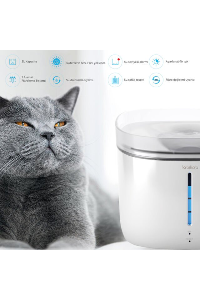 Akıllı Otomatik Su Kabı Hydra